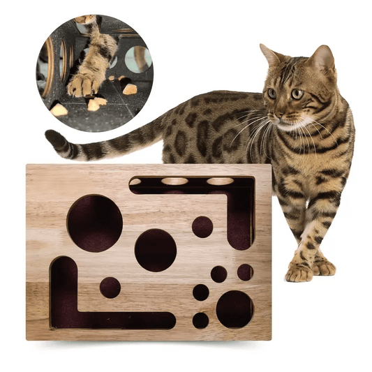 Cat Scratch Puzzle Enrichment Box: Nail File Stress Free Alternative to Clippers and Grinders